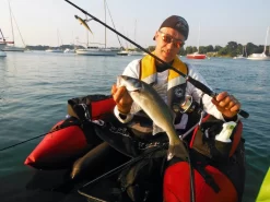 Mitchell 300 Pro Werpmolen 9 Mitchell 300 Pro Werpmolen -Mitchell mitchell mitchell 300 pro werpmolen 3