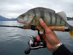 Mitchell 300 Pro Werpmolen 11 Mitchell 300 Pro Werpmolen -Mitchell mitchell mitchell 300 pro werpmolen 5