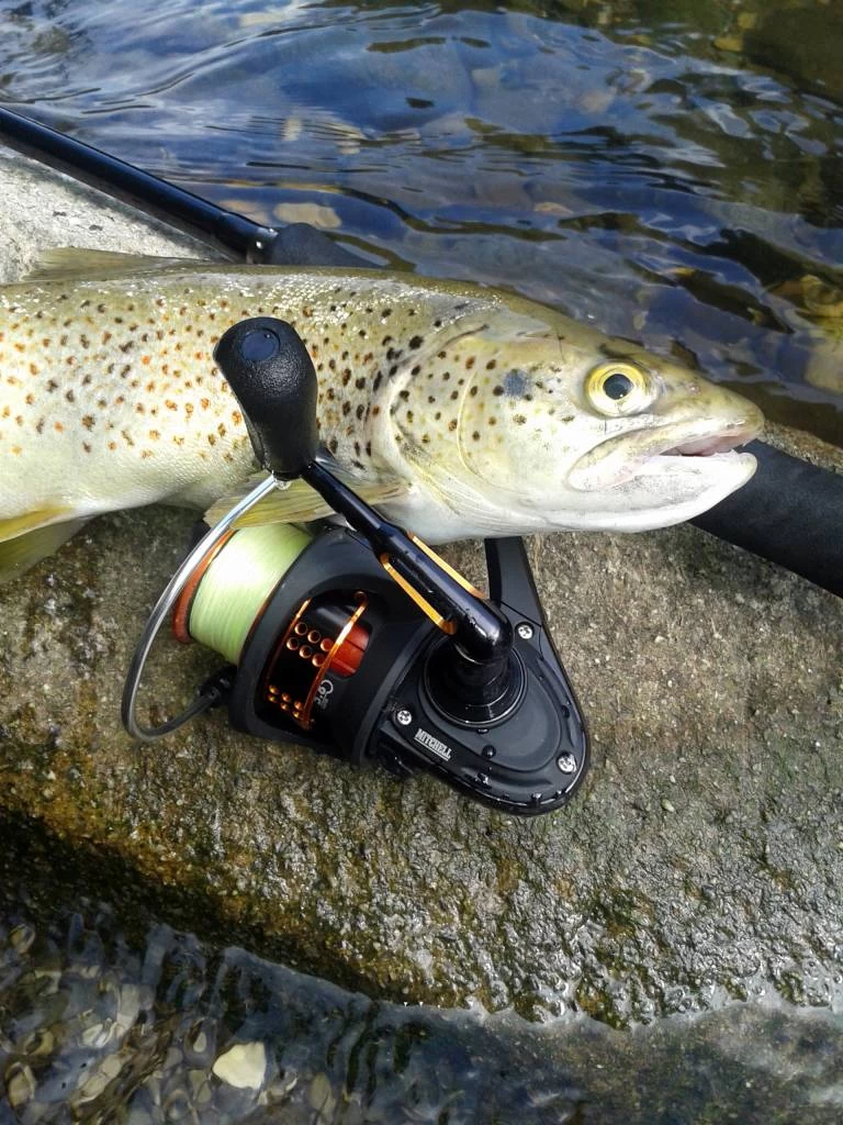 Mitchell 350 Pro Werpmolen 2 Mitchell 350 Pro Werpmolen - Afbeelding 2