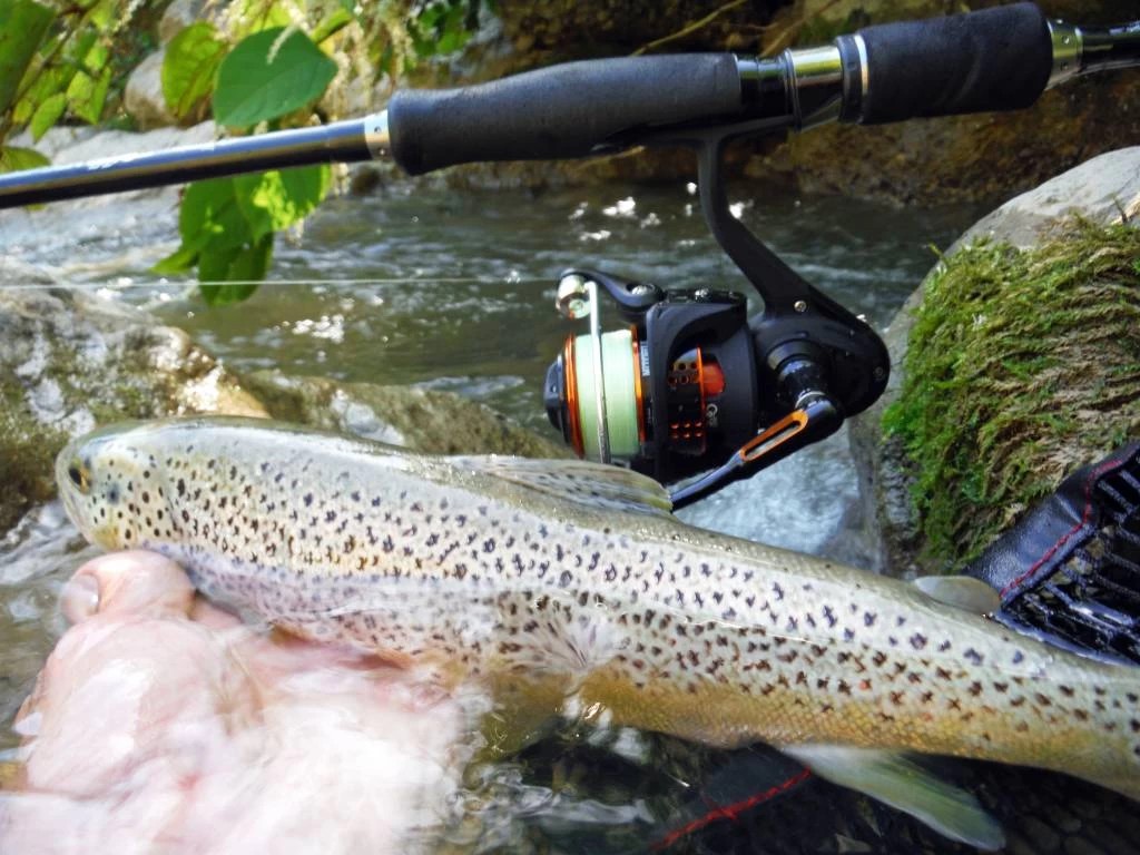 Mitchell 350 Pro Werpmolen 4 Mitchell 350 Pro Werpmolen - Afbeelding 4