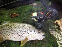 Mitchell 350 Pro Werpmolen 11 Mitchell 350 Pro Werpmolen -Mitchell mitchell mitchell 350 pro werpmolen 5