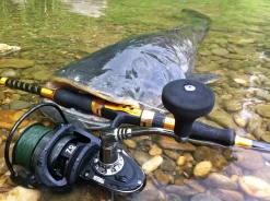 Mitchell -Mitchell mitchell mitchell 498 zeemolen 1