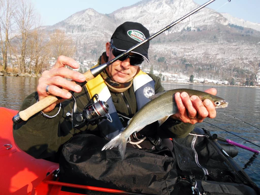 Mitchell Mag Premier Zeemolen 2 Mitchell Mag Premier Zeemolen - Afbeelding 2