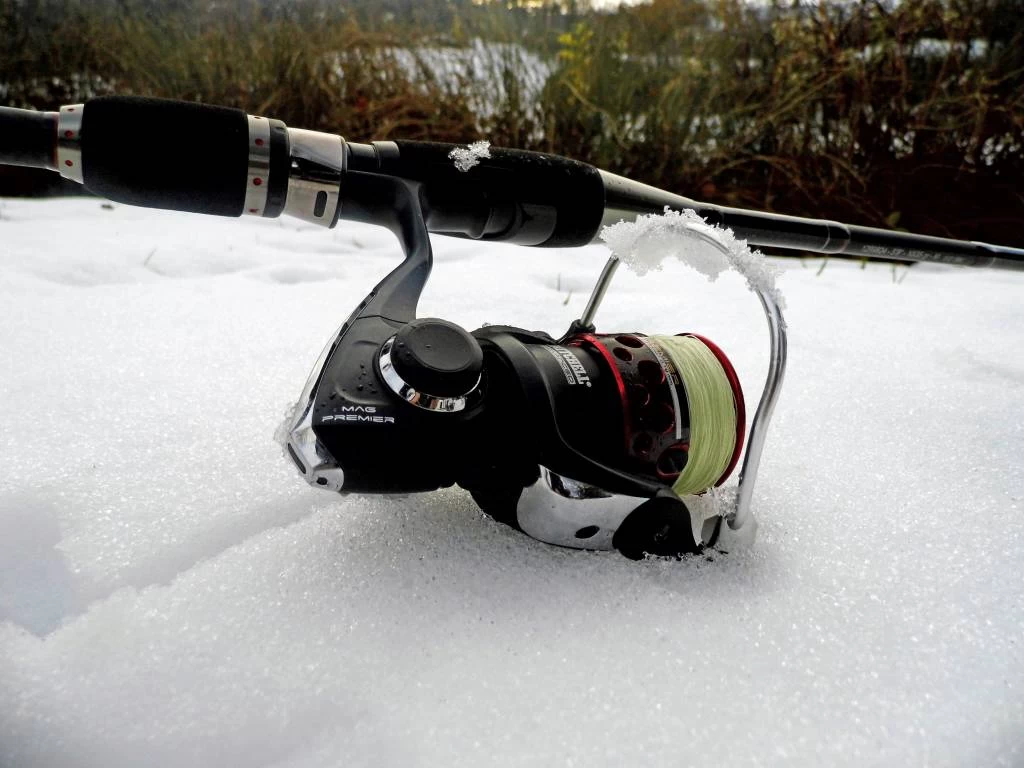 Mitchell Mag Premier Zeemolen 5 Mitchell Mag Premier Zeemolen - Afbeelding 5