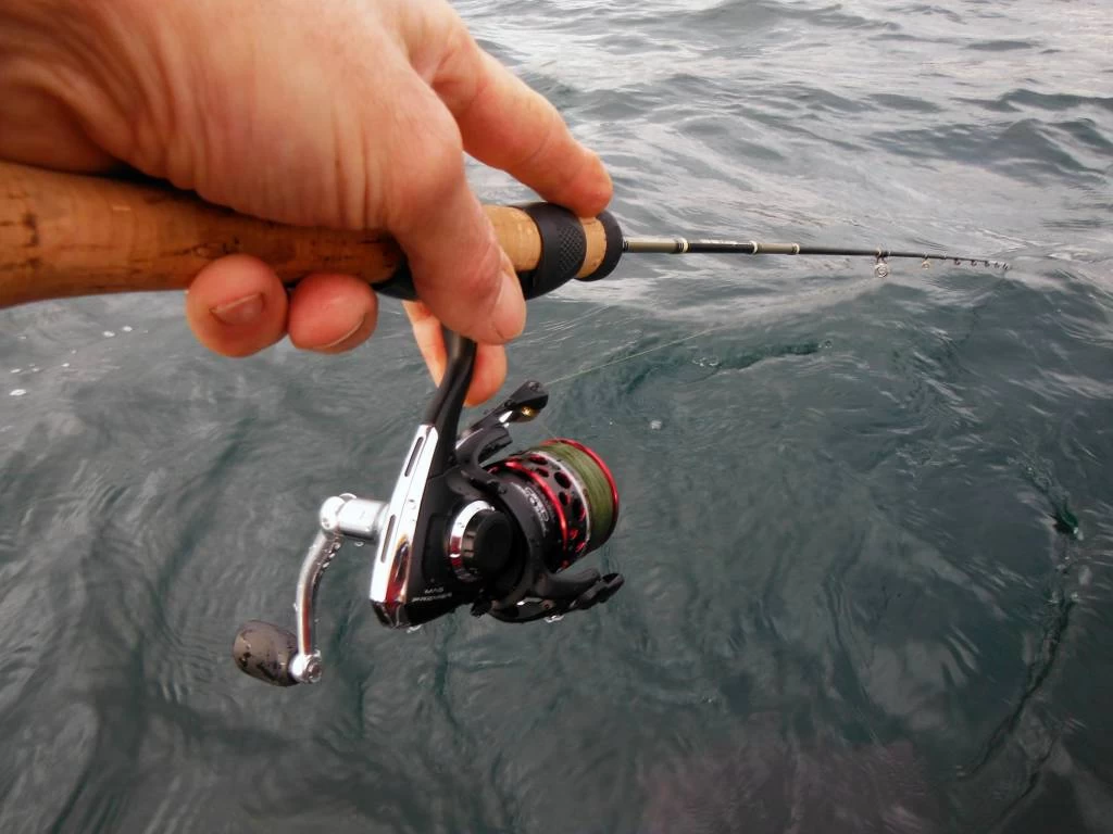 Mitchell Mag Premier Zeemolen 6 Mitchell Mag Premier Zeemolen - Afbeelding 6