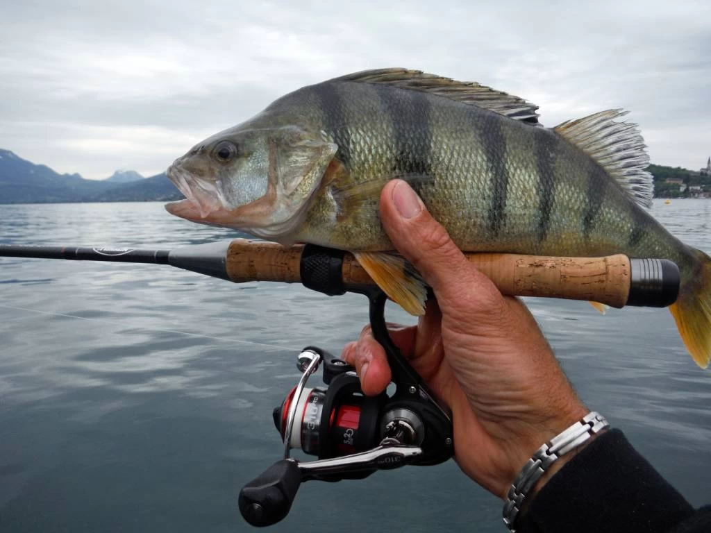 Mitchell Mag Pro Extreme Coregone Spinhengel 4 Mitchell Mag Pro Extreme Coregone Spinhengel - Afbeelding 4