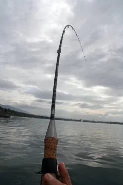 Mitchell Mag Pro Extreme Coregone Spinhengel 9 Mitchell Mag Pro Extreme Coregone Spinhengel -Mitchell mitchell mitchell mag pro extreme coregone spinhen 4