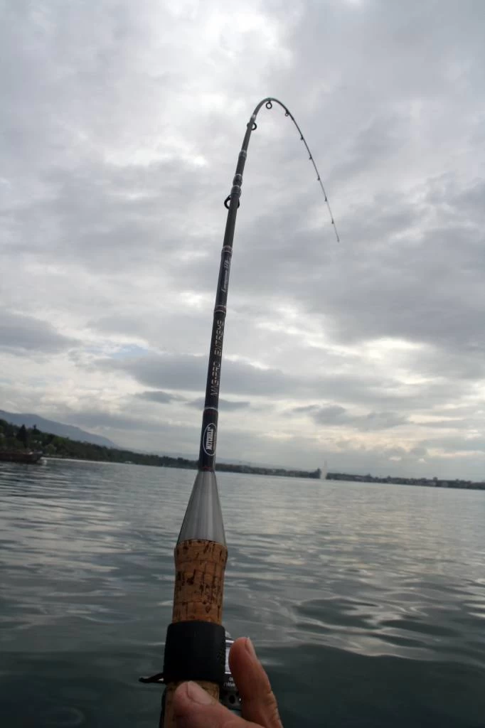 Mitchell Mag Pro Extreme Coregone Spinhengel 5 Mitchell Mag Pro Extreme Coregone Spinhengel - Afbeelding 5