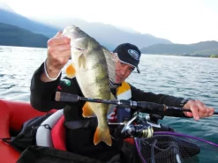 Mitchell Mag Pro Extreme Spinhengel -Mitchell mitchell mitchell mag pro extreme spinhengel 3