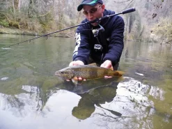 Mitchell Mag Pro Lite Zeemolen -Mitchell mitchell mitchell mag pro lite zeemolen 4