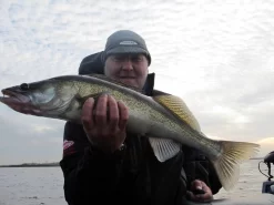 Mitchell Micro Spin Spincasting Molen 7 Mitchell Micro Spin Spincasting Molen -Mitchell mitchell mitchell micro spin spincasting molen 3